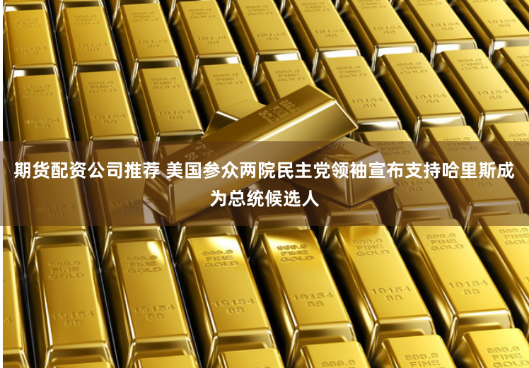 期货配资公司推荐 美国参众两院民主党领袖宣布支持哈里斯成为总统候选人