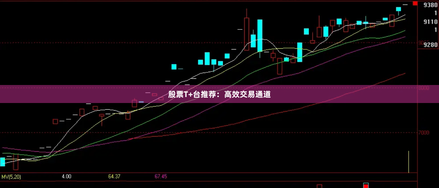 股票T+台推荐:高效交易通道