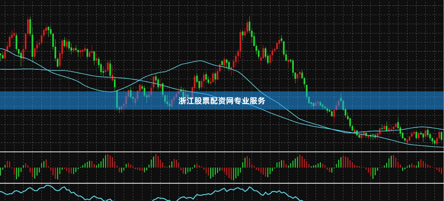 浙江股票配资网专业服务